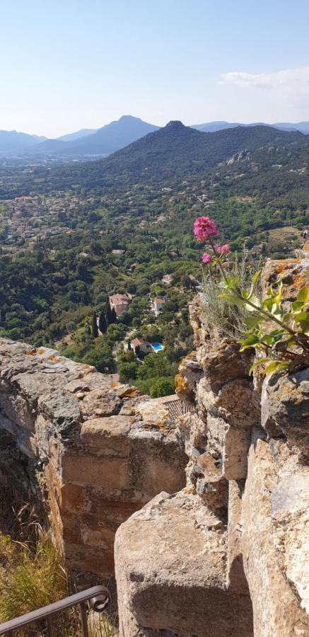 Appartement " Le Grand Bleu " A 3 Min De La Plage La Londe-les-Maures Kültér fotó